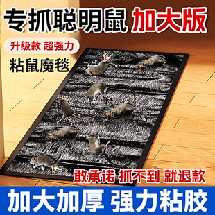 强力粘鼠板老鼠贴家用加大加厚老鼠粘强力粘鼠板糖炒板栗多重引诱