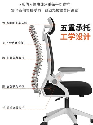 电脑椅电竞舒服久坐护腰办公椅宿舍舒适家用学生学习书桌椅子靠背