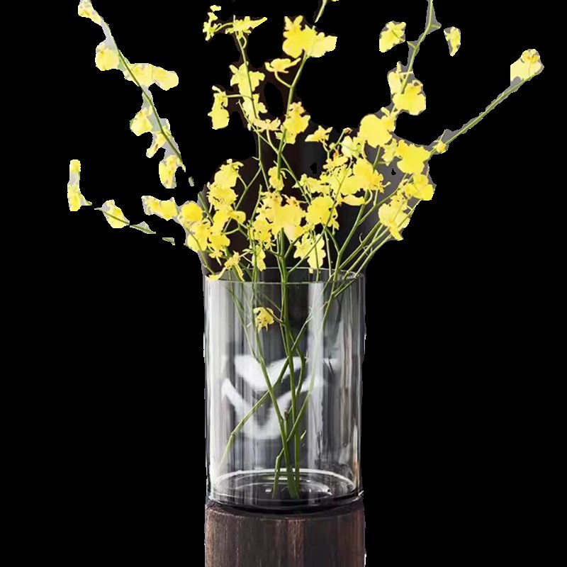 轻奢玻璃花瓶摆件创意简q约水养鲜花玫瑰百合客厅茶几餐桌阳台装
