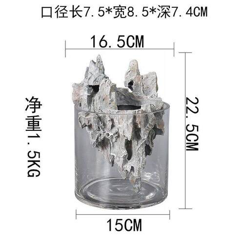 透明玻璃懒人花盆自动吸水圆形水培文竹花器创意多肉发财树花盆