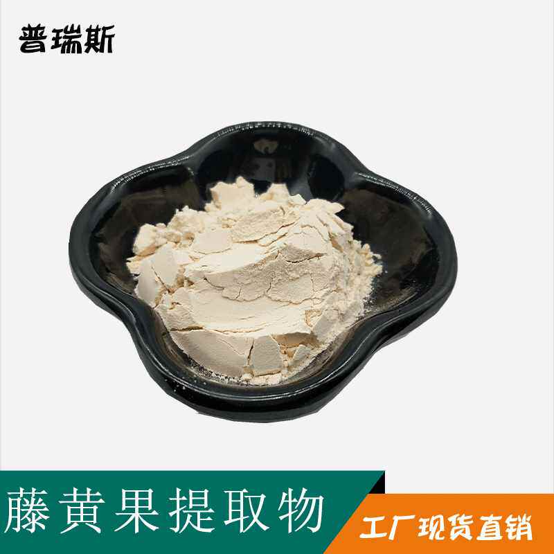 藤黄果提取物 羟基柠檬酸 hca 60%  藤黄果粉