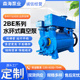 2BE水环式 真空泵厂家直销2BEA 2BEC耐腐蚀大型工业用真空泵压缩机