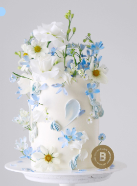 BITEOLOGY【拾光里里】C225加高生日蛋糕节日表白送礼同城配送