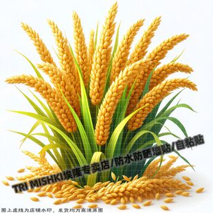 饰贴纸墙面门窗防晒自粘贴 麦穗五谷丰登贴纸冰箱橱柜装 秋季 丰收