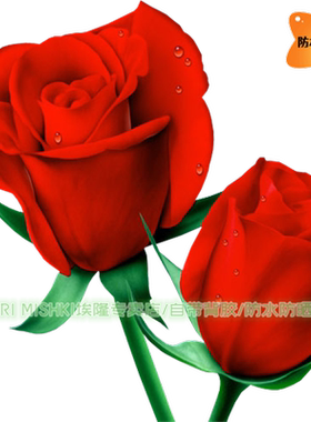 红色热情玫瑰贴纸客厅卧室墙面划痕补丁遮丑贴纸汽车电瓶车防水贴