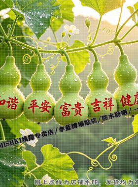 新款五福临门绿色葫芦招财装饰贴