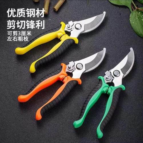 园艺修枝剪不锈钢剪树枝剪刀修枝剪果树修花嫁接摘果修枝省力神器