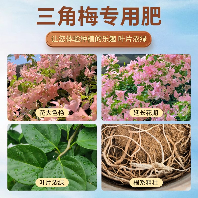 现货速发三角梅开花肥料促花爆花复合肥料家用花肥氮磷钾促开花有