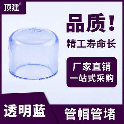 现货速发PVC透明管帽水管排水堵头塑料管堵下水道管封管道闷盖鱼