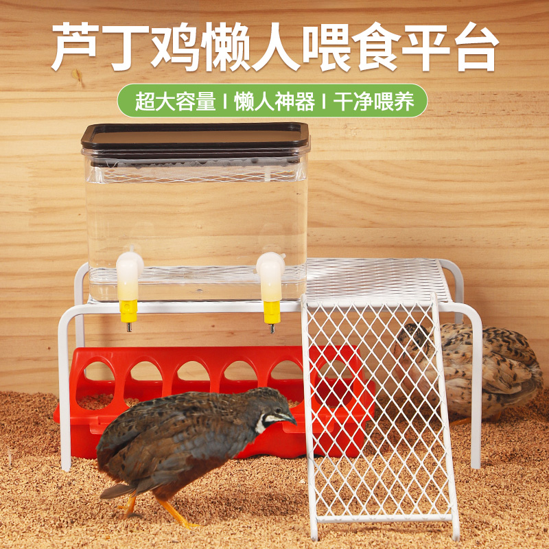 速发芦丁鸡食槽养鸡自动喂食器撞针饮水鸡水壶鹌鹑小器饲料盒造景