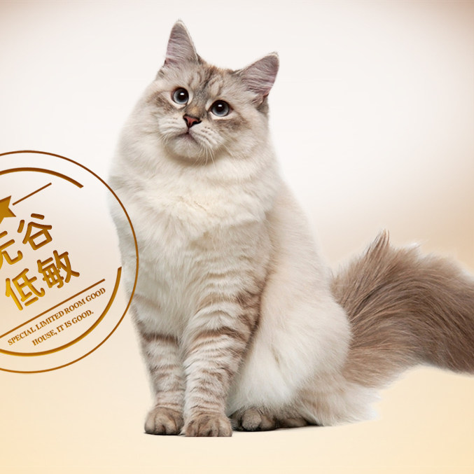 全价无谷多拼猫粮约1/5冻干