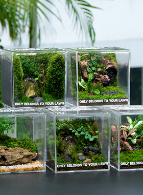 苔藓微景观生态缸雨林造景客厅办公室桌面绿植盆栽生态瓶创意礼物