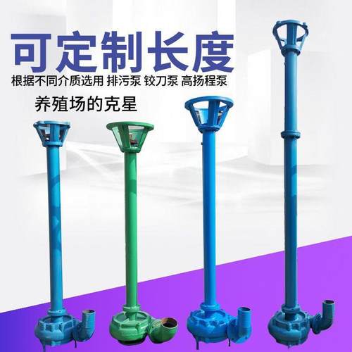 2寸3寸4寸杆泵NWL铸铁排污泵高压带电机泥浆泵抽粪泵化粪池垒德株