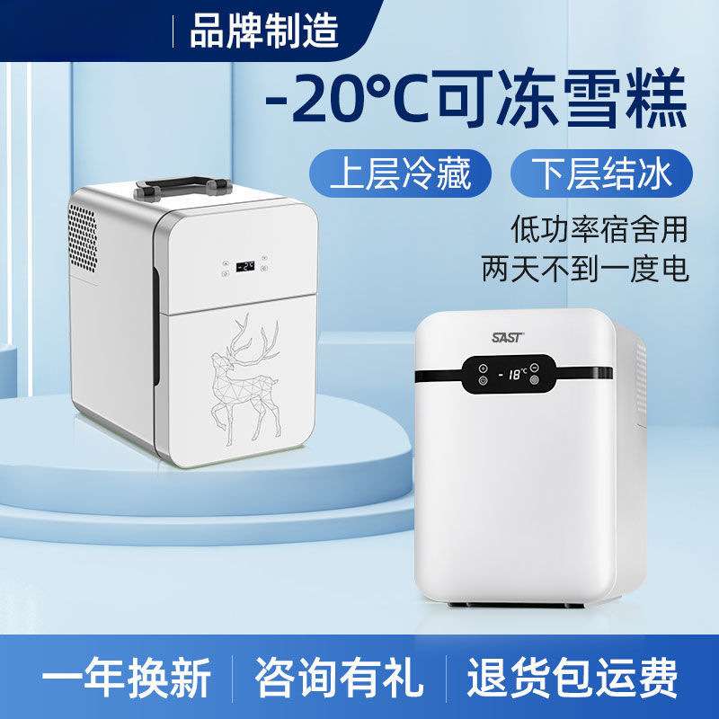 SAST车载迷你小冰箱学生宿舍出租房小型母乳单人用冷藏箱车家两用