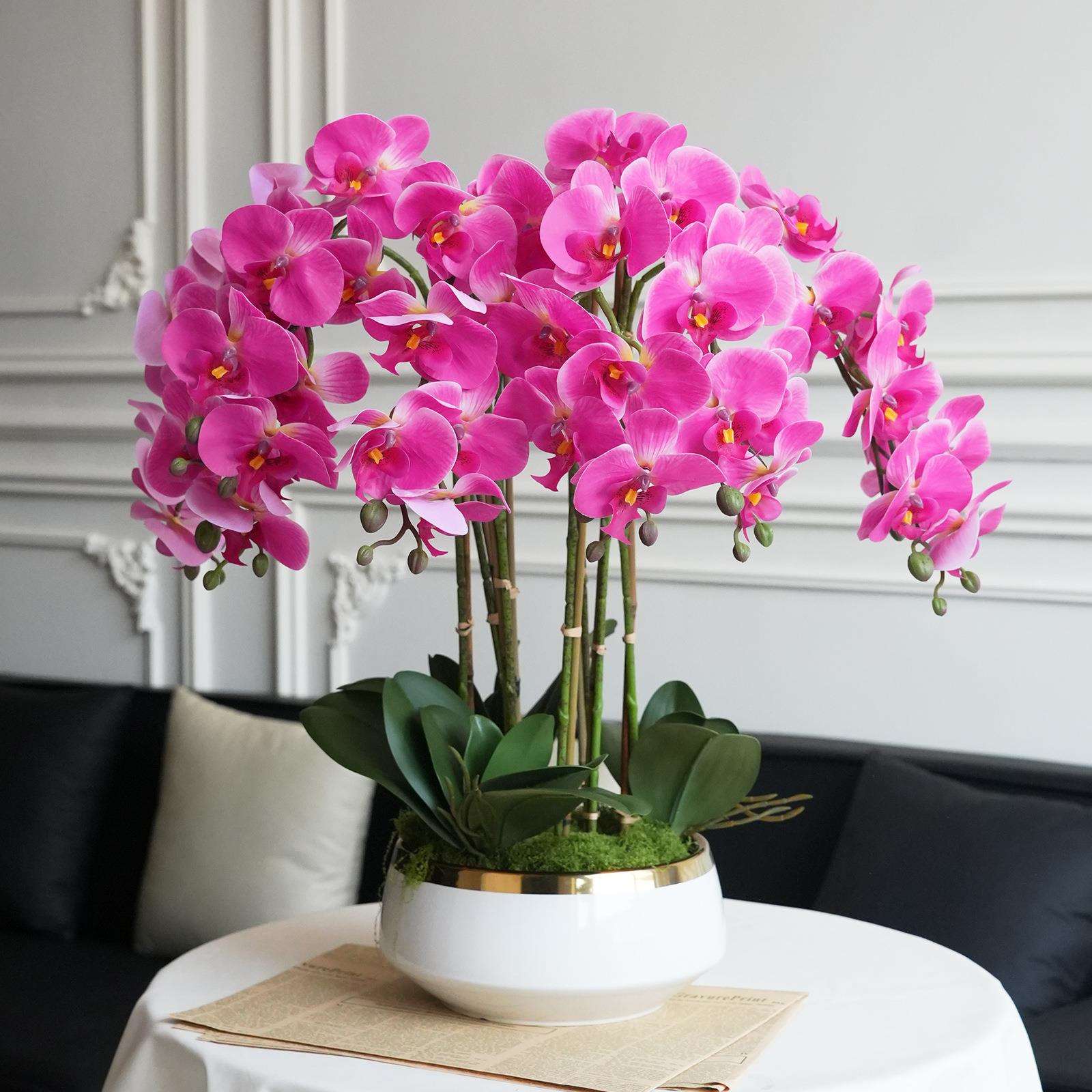 手感高级蝴蝶兰轻奢陶瓷盆景民宿装饰摆件客厅室内仿真花蝴蝶兰