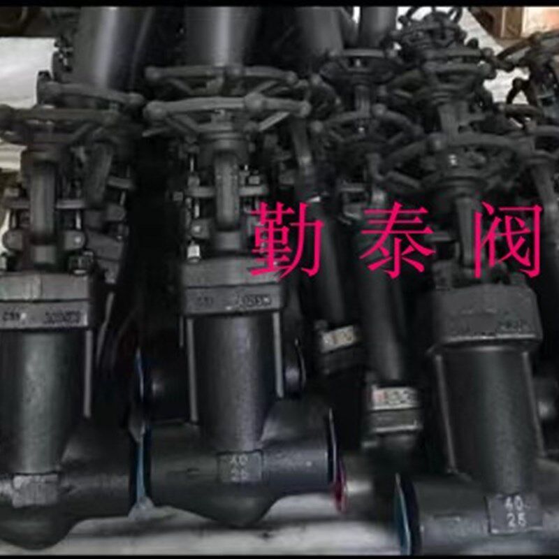 WZ61H16C锻钢波纹管闸阀/波纹管焊接闸阀炼油石化太阳能发电蒸汽