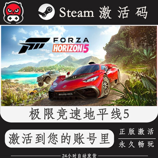 极限竞速地平线5Steam正版激活码CDKEY入库全DLC国区全球区