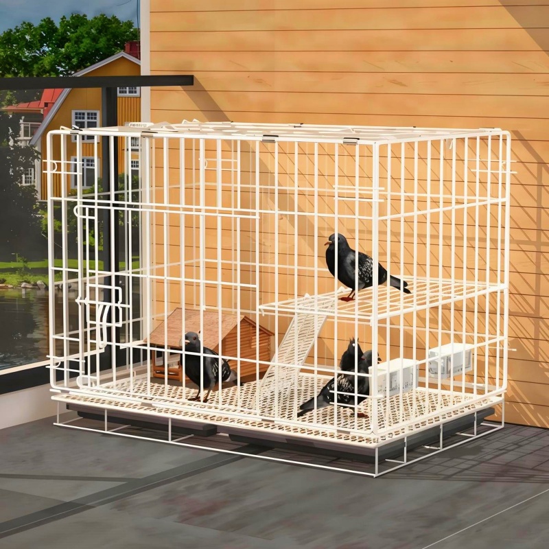鸽子笼金属鸟笼子家用大号芦丁鸡笼鹌鹑鸡窝配对养殖笼大型鹦鹉笼