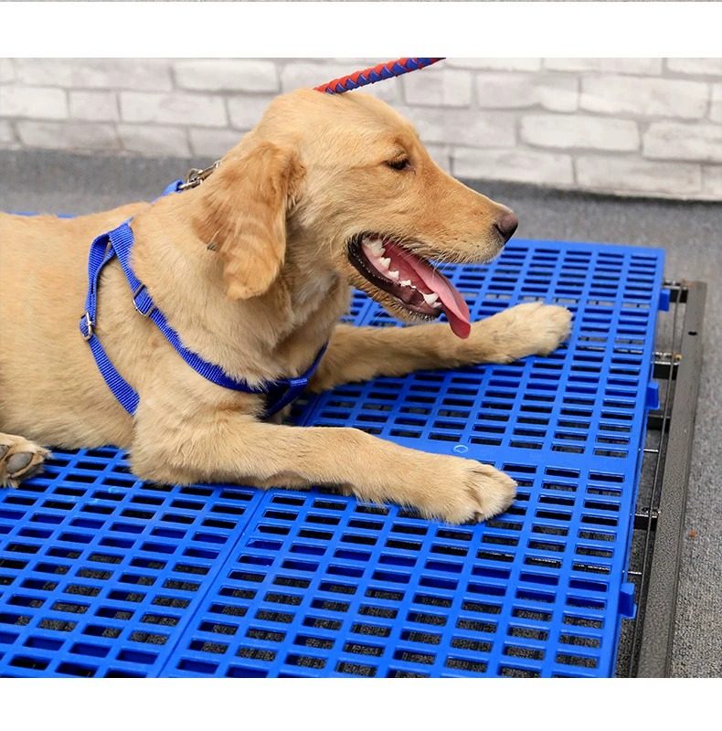 狗笼子专用塑料垫板狗笼子脚垫板宠物网格垫散热板大中小型犬用品,宠物/宠物食品及用品,猫狗垫子,淘宝优惠券,粉丝福利购,淘宝优惠卷