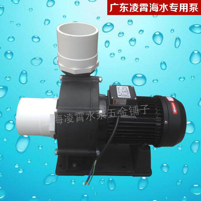 新款广东海水专用泵WTB300T大流量海水泵塑料浴缸按摩鱼池循包邮
