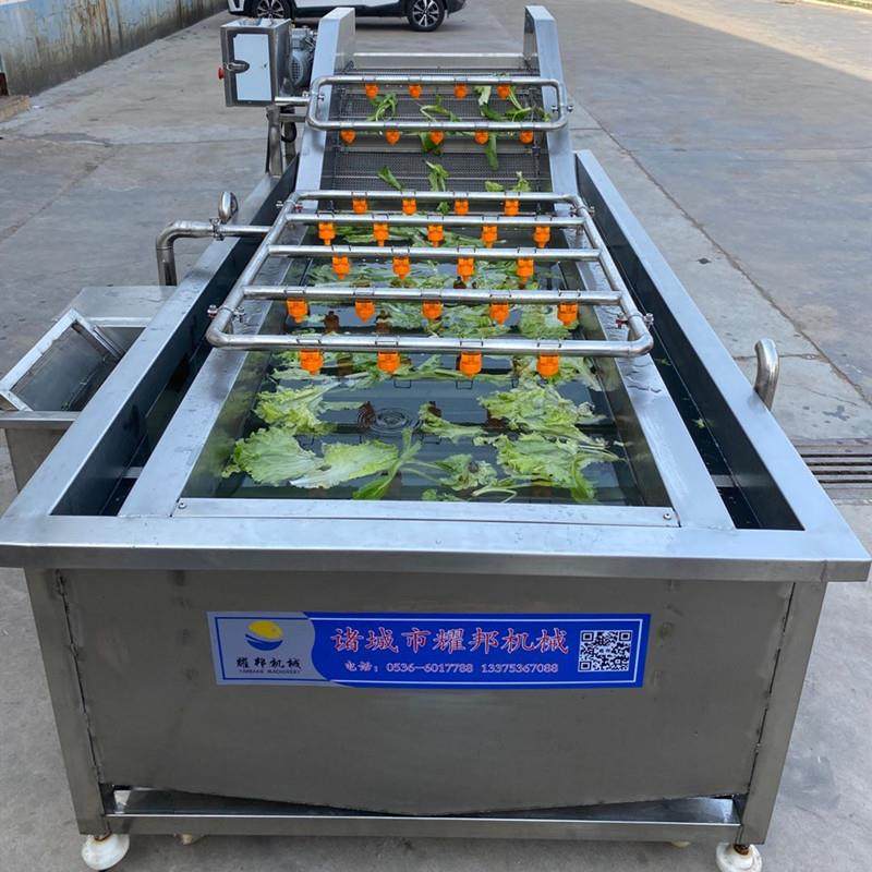 叶菜清洗机 全自动青菜吹干设备 不锈钢生菜清洗除水风干机器,清洗/食品/商业设备,果蔬加工设备,淘宝优惠券,粉丝福利购,淘宝优惠卷