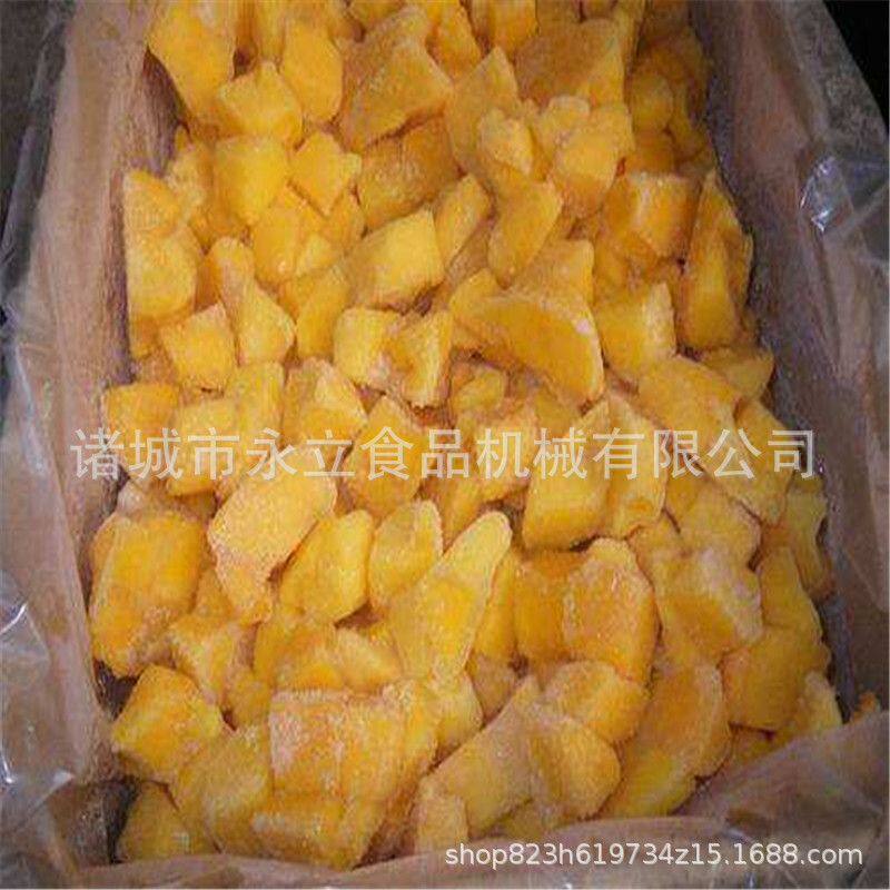 混合蔬菜粒速冻机 全自动隧道式进出料单冻机 各种型号可定制