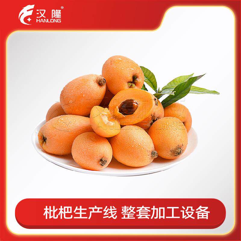 厂家供应大中小型成套枇杷膏枇杷汁生产线果汁果酱饮料汁生产线