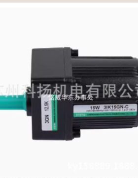 STSTW调速电机马达 CHENGGANG ELECTRICAL ENGINEERING CO.,LTD