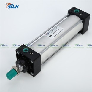 SC40X800 S带磁标准气缸