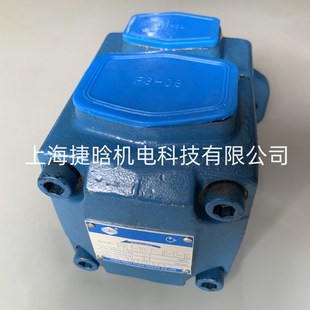 叶片泵 TECH 海特克 PVL1 HIGH PVL3