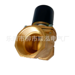 10B 2W160 2W250 25B 20B 2W040 2W200 不锈钢电磁阀2W25 15B