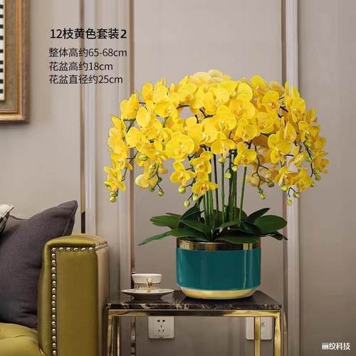 仿真蝴蝶兰特大号手感兰花客厅电视柜假花酒店公司前台装饰花摆件