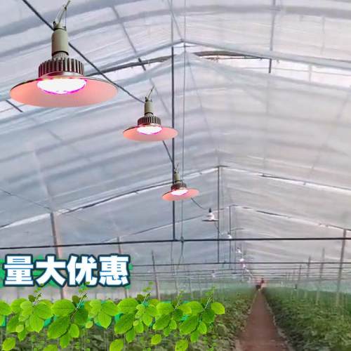 36W全光谱LED温室大棚植物照明灯 补光灯植物 生长灯 红光植物灯