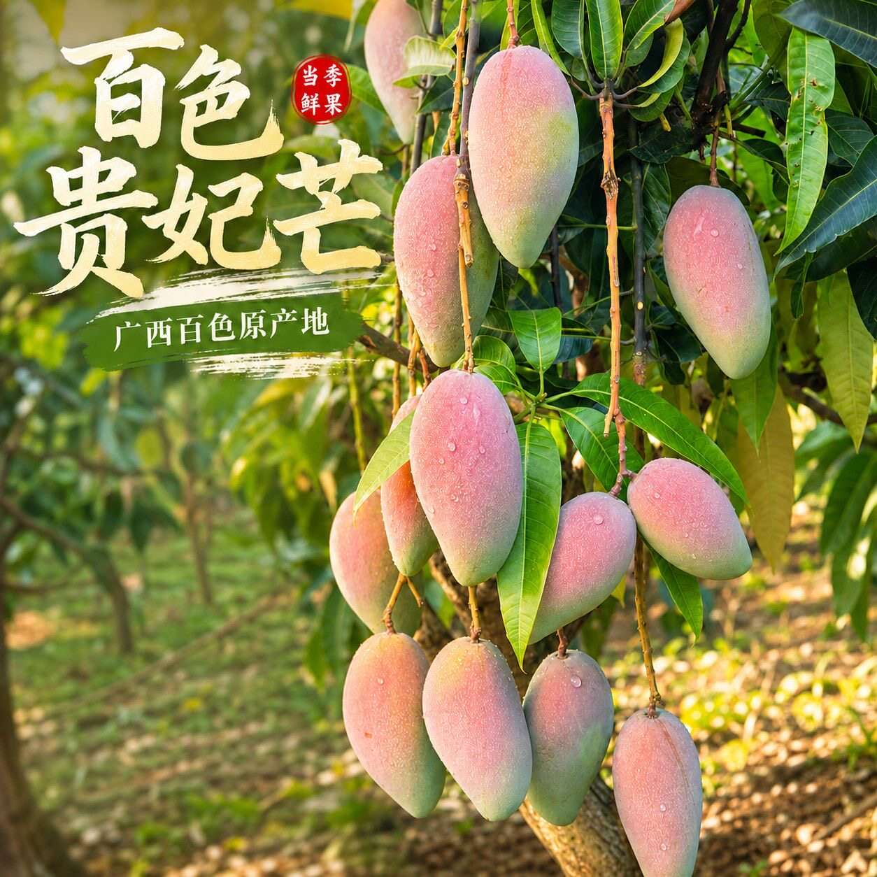广西百色贵妃芒头茬新鲜芒果包邮现摘现发当季热带水果皮薄核小D