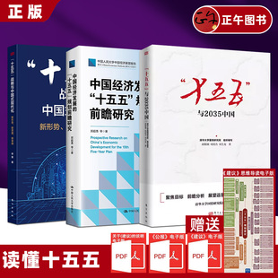 十五五战略与中国式 中国经济2025 现代化 十五五规划前瞻研究 读懂十五五国民经济四中2025年新书 中国经济发展 十五五与2035中国