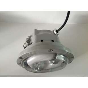 NFC9176防水防尘长寿顶灯 防震电磁感应灯 长寿无极顶灯 热卖