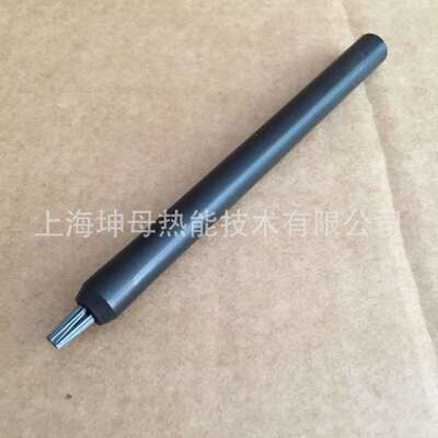 赛默飞电极刷ARL S422255