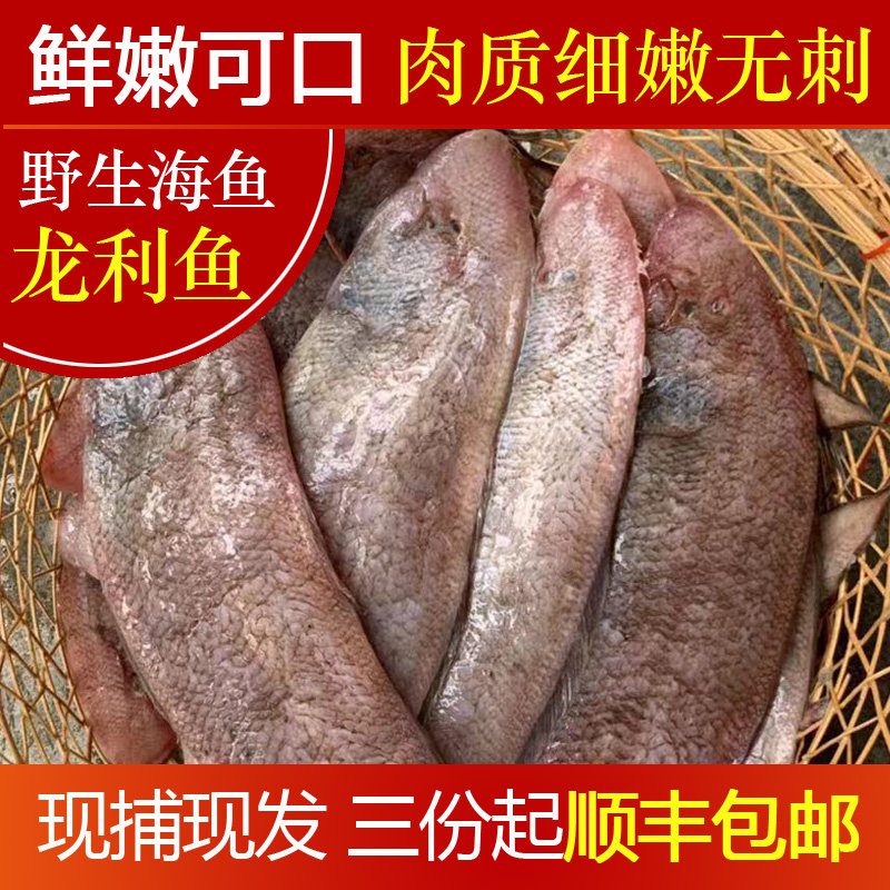 潮汕龙利鱼新鲜龙舌鱼冷冻海鲜水产非龙利柳巴沙鱼无骨鱼片辅食鱼