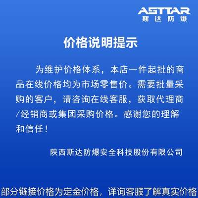 斯达防爆矿用井下便携CYH25氧气检测仪测定器氧气浓度探测报警器