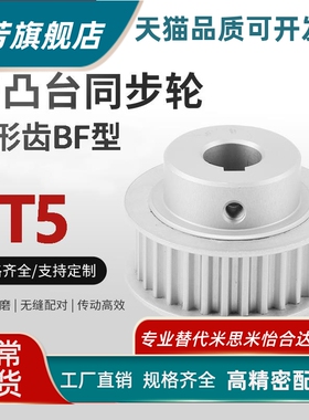 TTPA28T5100/150/200/250-B-P/N同步轮齿轮