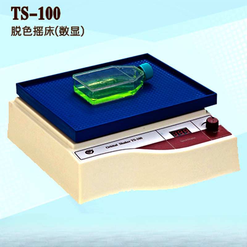 海门其林贝尔TS-100实验用脱色摇床数显回旋摇床可调速原TS-6型