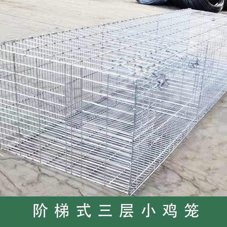 鸡笼三层阶梯式小鸡笼鸡笼设备养殖鸡笼家禽养殖设备