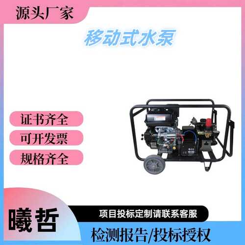 FSTGP-5.0/120接力灭火水泵隔膜柱塞泵进出水口直径40mm消火栓