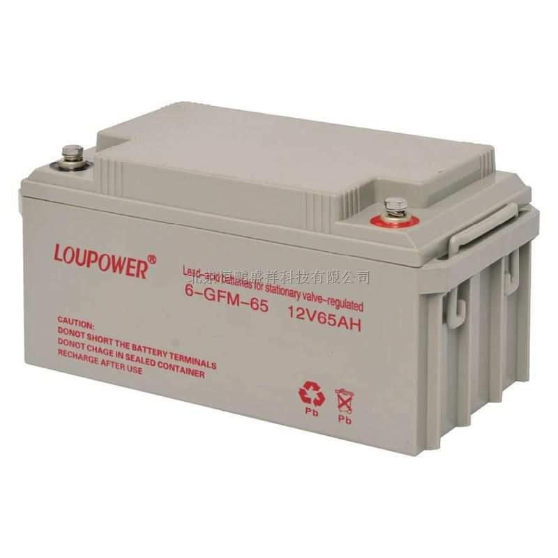 Loupower莱力蓄电池6-GFM-100 现货供应莱力蓄电池12V100AH包邮