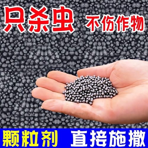 全新3倍功效通杀害虫强效灭虫颗