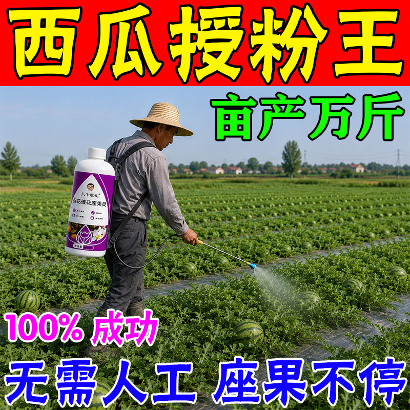 西瓜授粉专用药坐果灵免人工催花授粉保花保果防畸西瓜增产水溶肥