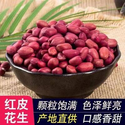 23年新货红皮花生米5斤精选大粒当季四粒红红衣带壳果仁无壳2500g