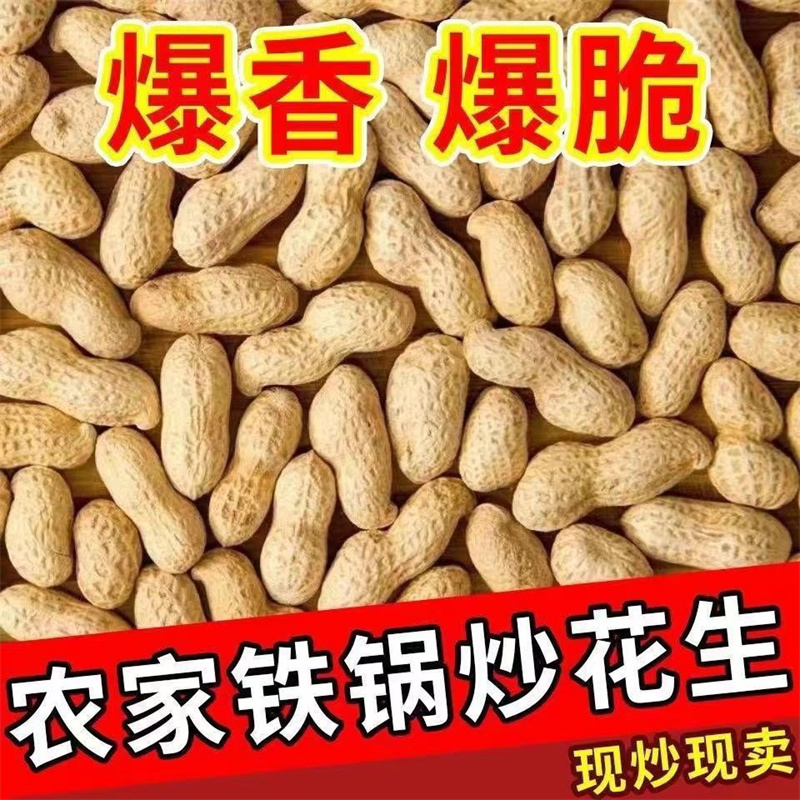 【精品】新货现炒农家带壳珍珠卤味花生铁锅原味蒜香熟炒花生炒货