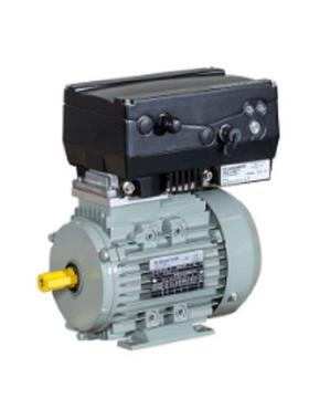 德国ac-motoren IE4B能效等级的低压电机 颜色为石灰色
