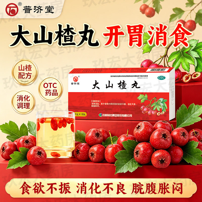 普济堂大山楂丸 9g*10丸 开胃消食 食欲不振消化不良